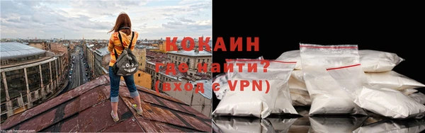 соль ск Липки
