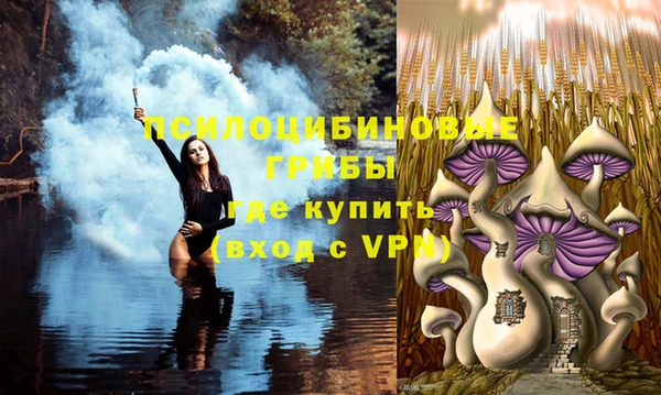 соль ск Липки